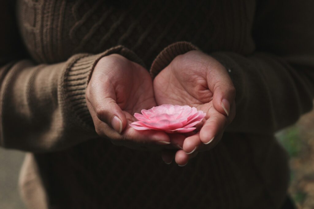 Conscious living in Cornwall — hands holding an open lotus flower depicting openness and inner calm
