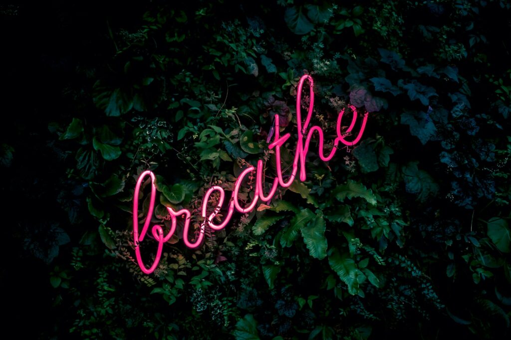 green leaves with the word breathe over the top in pink illuminated lights - depicts taking a breath, a pause, a moment .. 